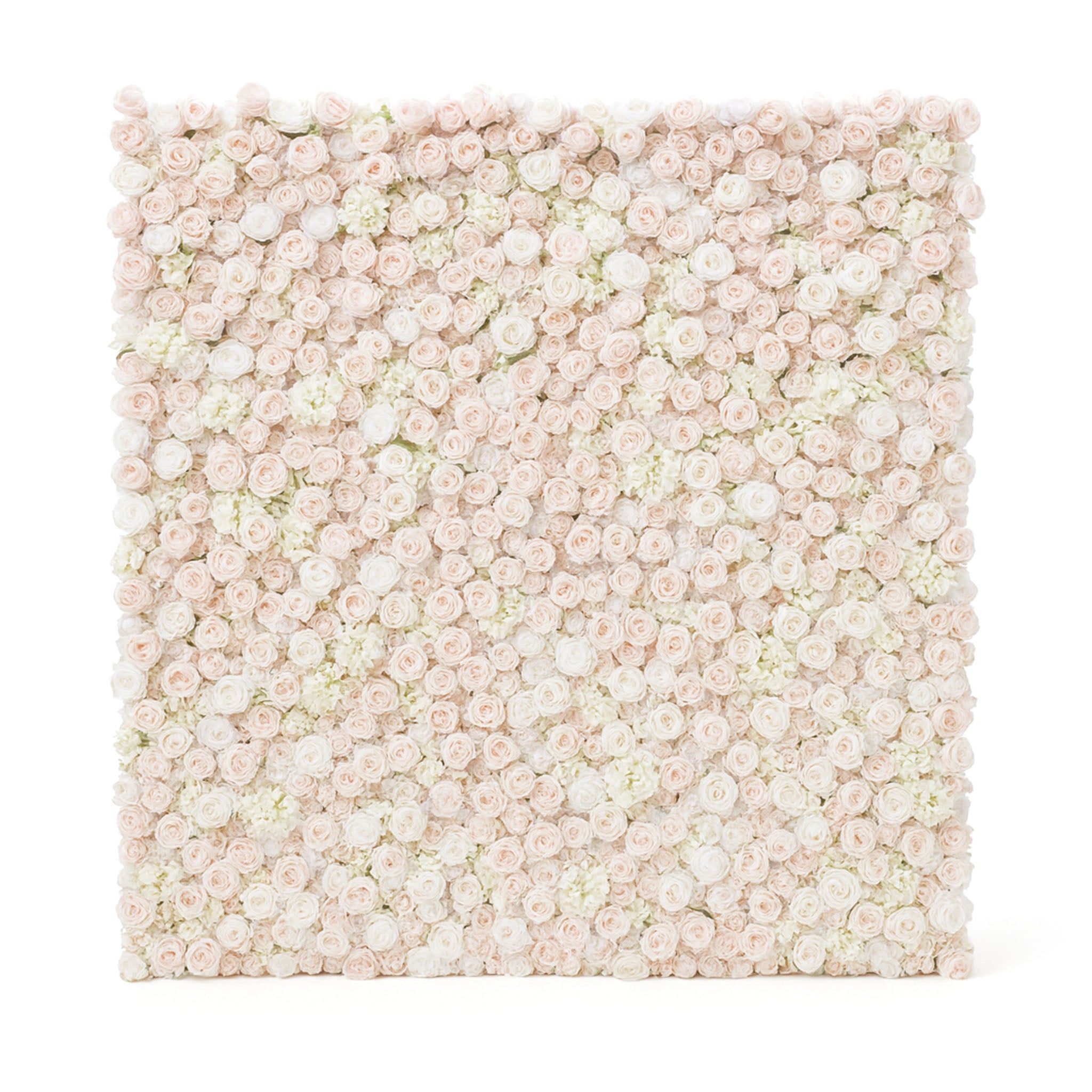 Blomvägg fotobakgrund